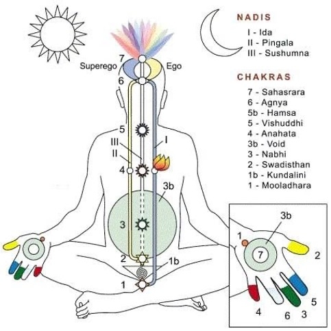 nadis-chakre